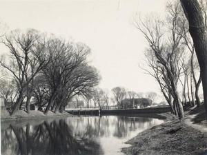 河北大学附近的春天